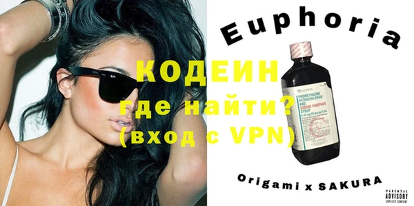 хмурый Арсеньев