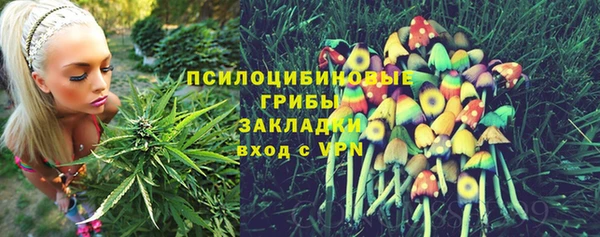 стафф Аркадак