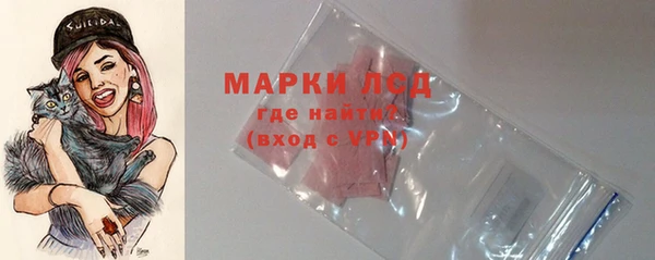 стафф Аркадак