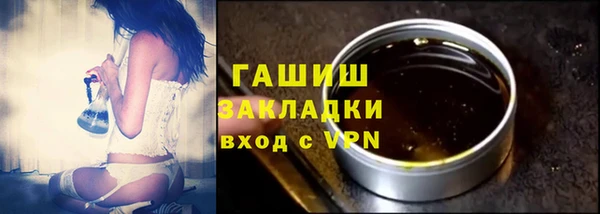 хмурый Арсеньев