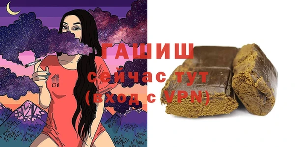 хмурый Арсеньев