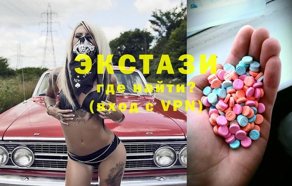 хмурый Арсеньев