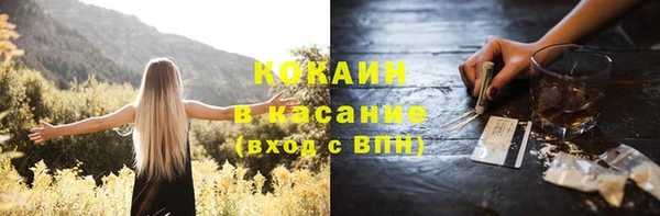хмурый Арсеньев