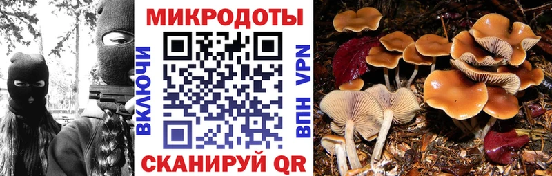Купить закладки  Бологое  Псилоцибиновые грибы MAGIC MUSHROOMS 