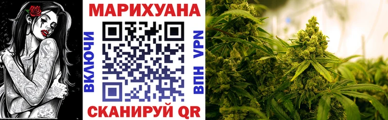Каннабис сатива  Купить  Бологое 